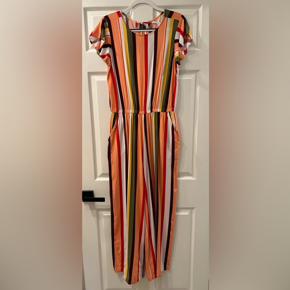 Time and Tru Striped Jumpsuit - Picture 1 of 13